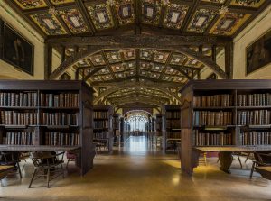 bookshelves full in an elegant hallway